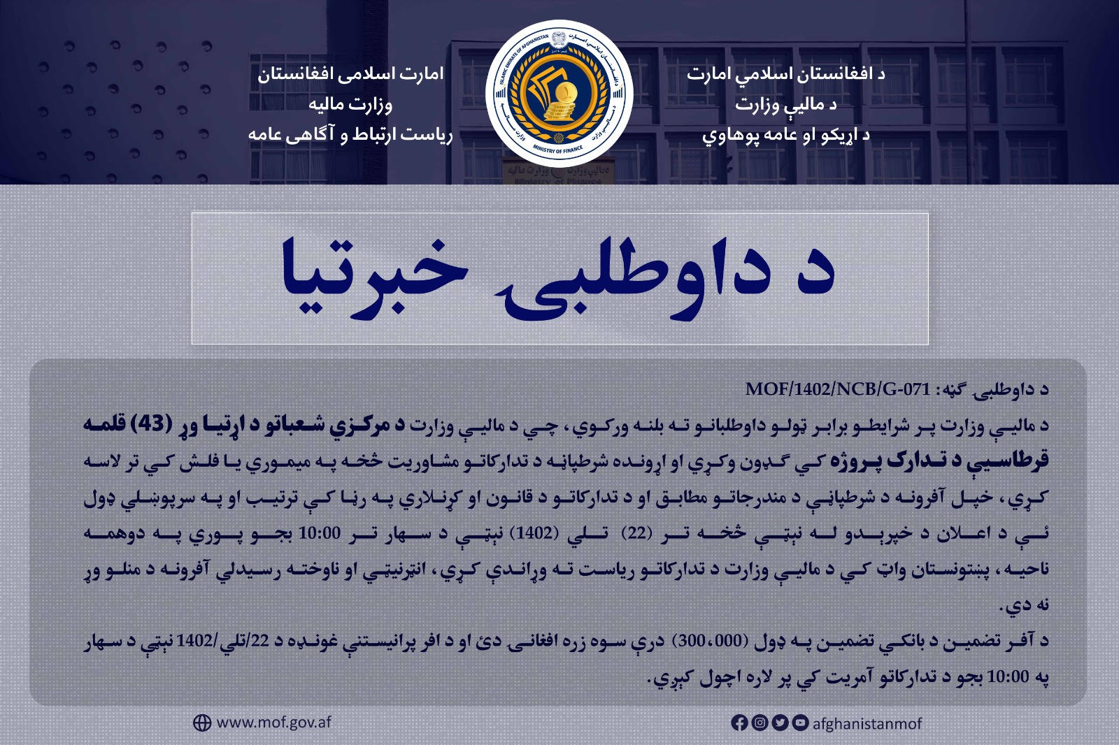 داوطلب