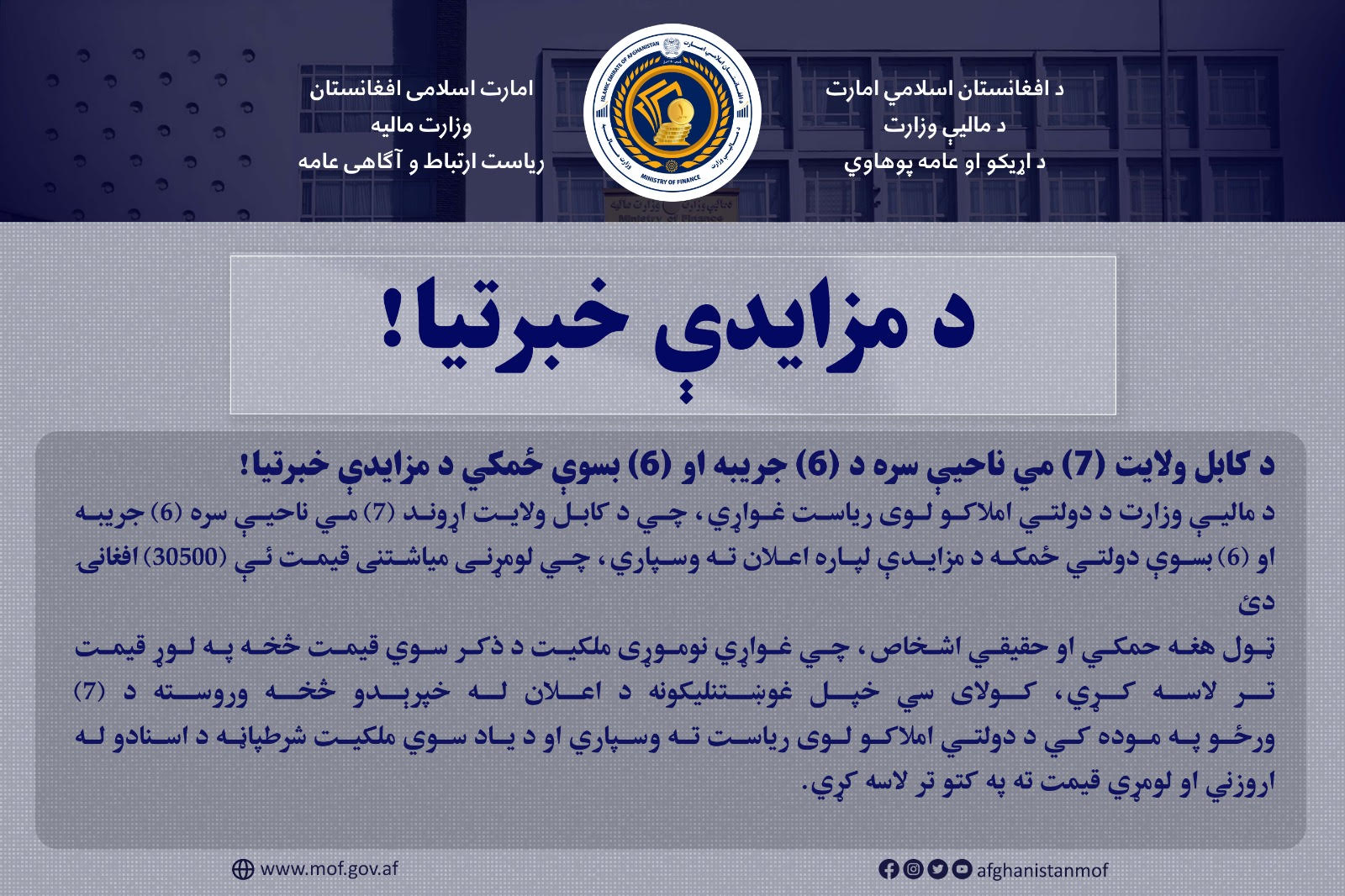 داوطلبی 