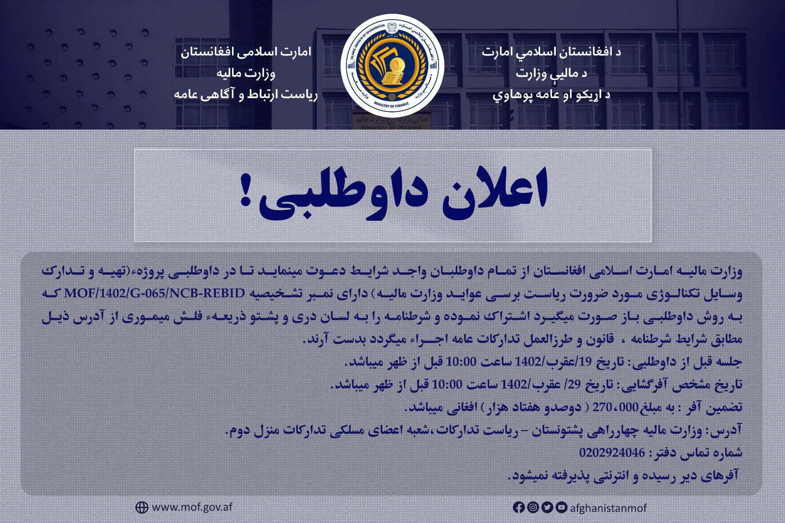 داوطلبی