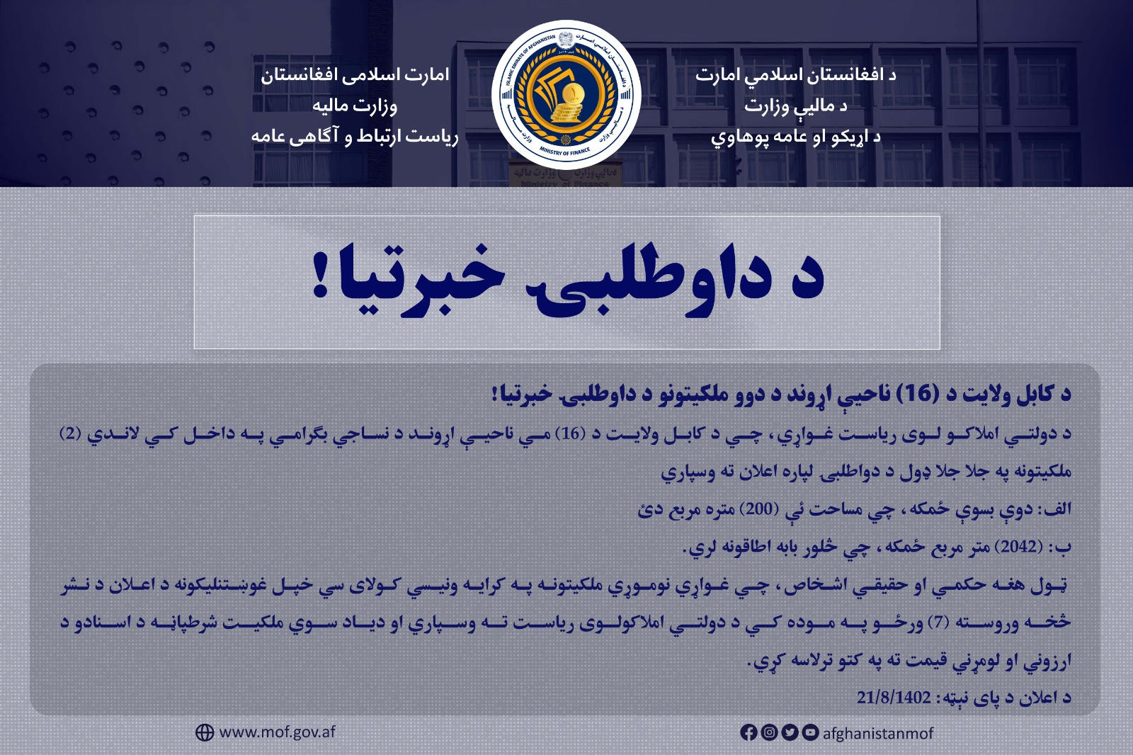 داوطلبی 