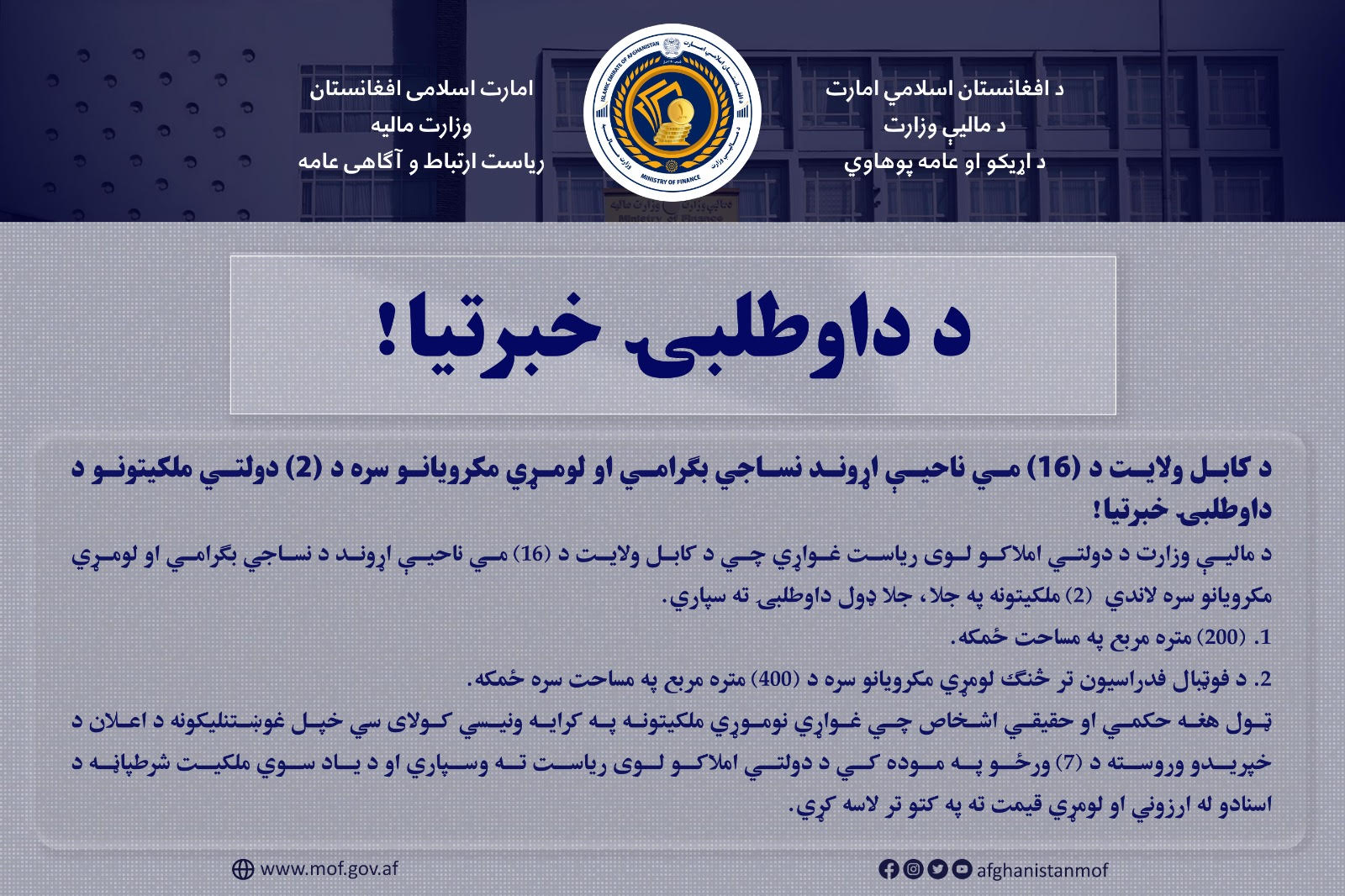 داوطلبی 