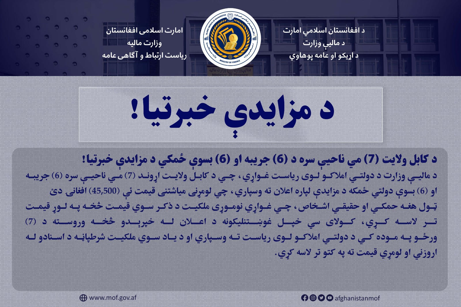 داوطلبی