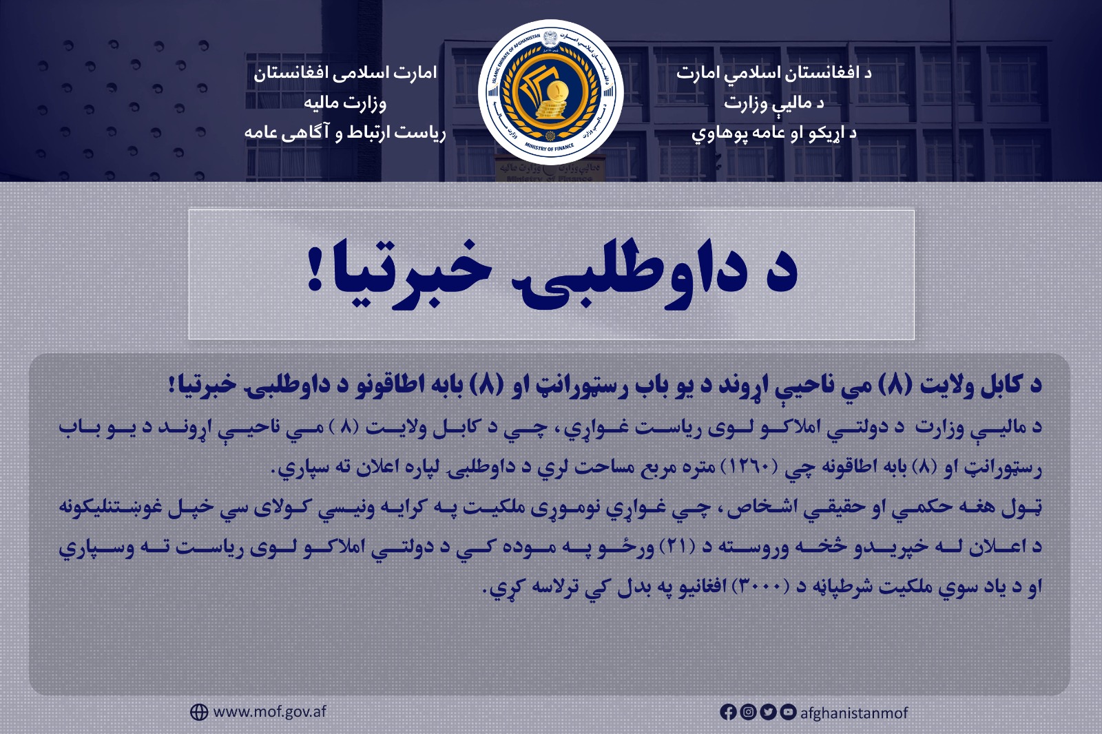 داوطلبی