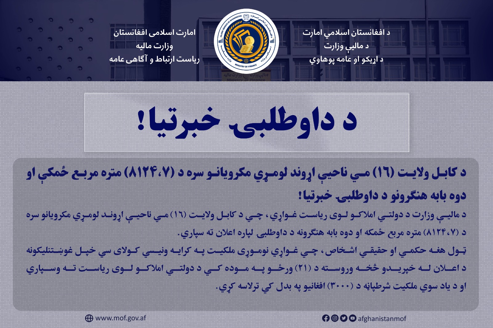 داوطلبی