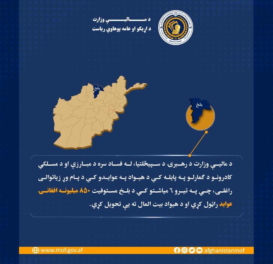 انفوگرافک