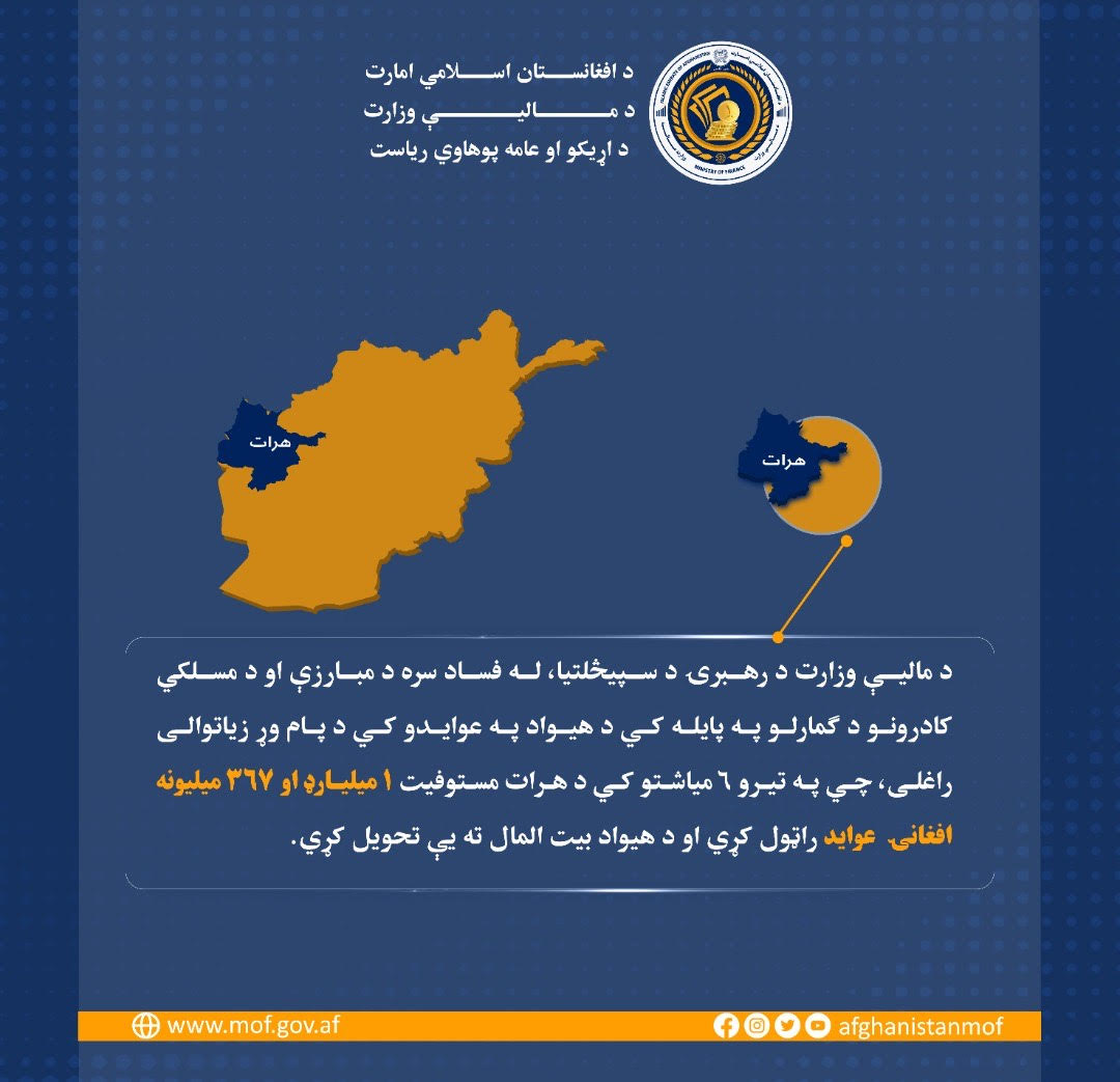انفوگرافک